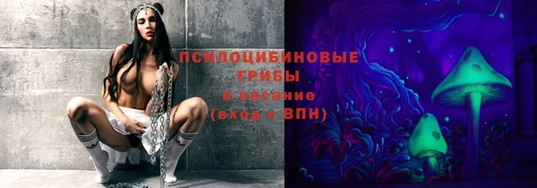 а пвп мука Надым