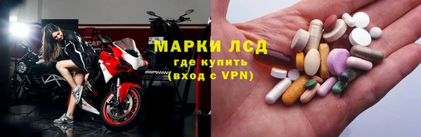 ПСИЛОЦИБИНОВЫЕ ГРИБЫ Нея