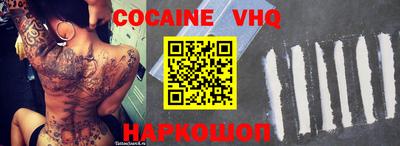 крисы Новодвинск