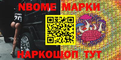 Альфа ПВП Новозыбков
